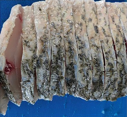 СЛАЙСЕР СВЕЖЕГО/ЗАМОРОЖЕННОГО МЯСА